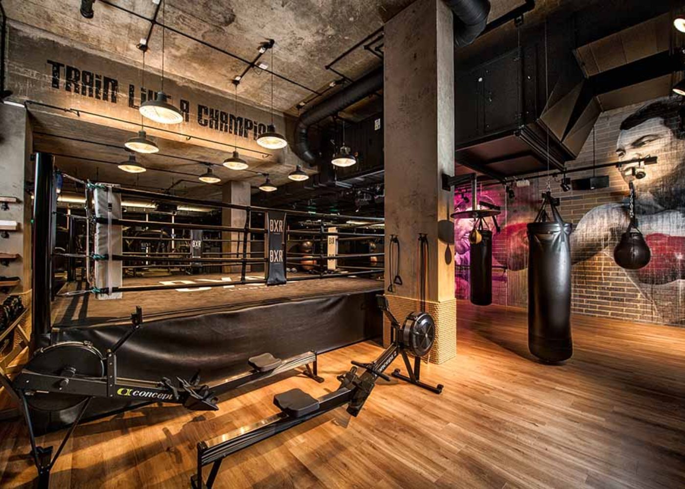 BXR-BoxingGym-HD-4