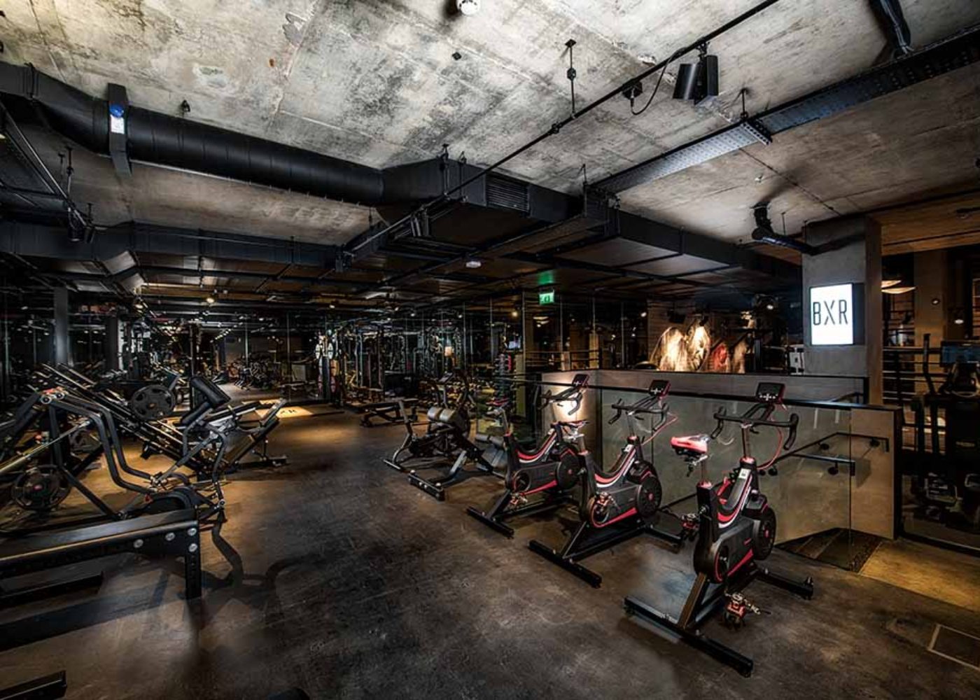 BXR-BoxingGym-HD-8