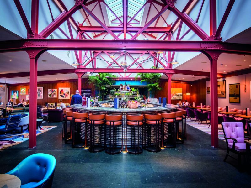 Bluebird Chelsea
