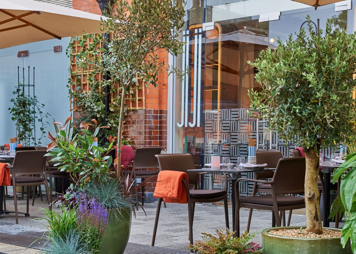 JiJi_Terrace 6