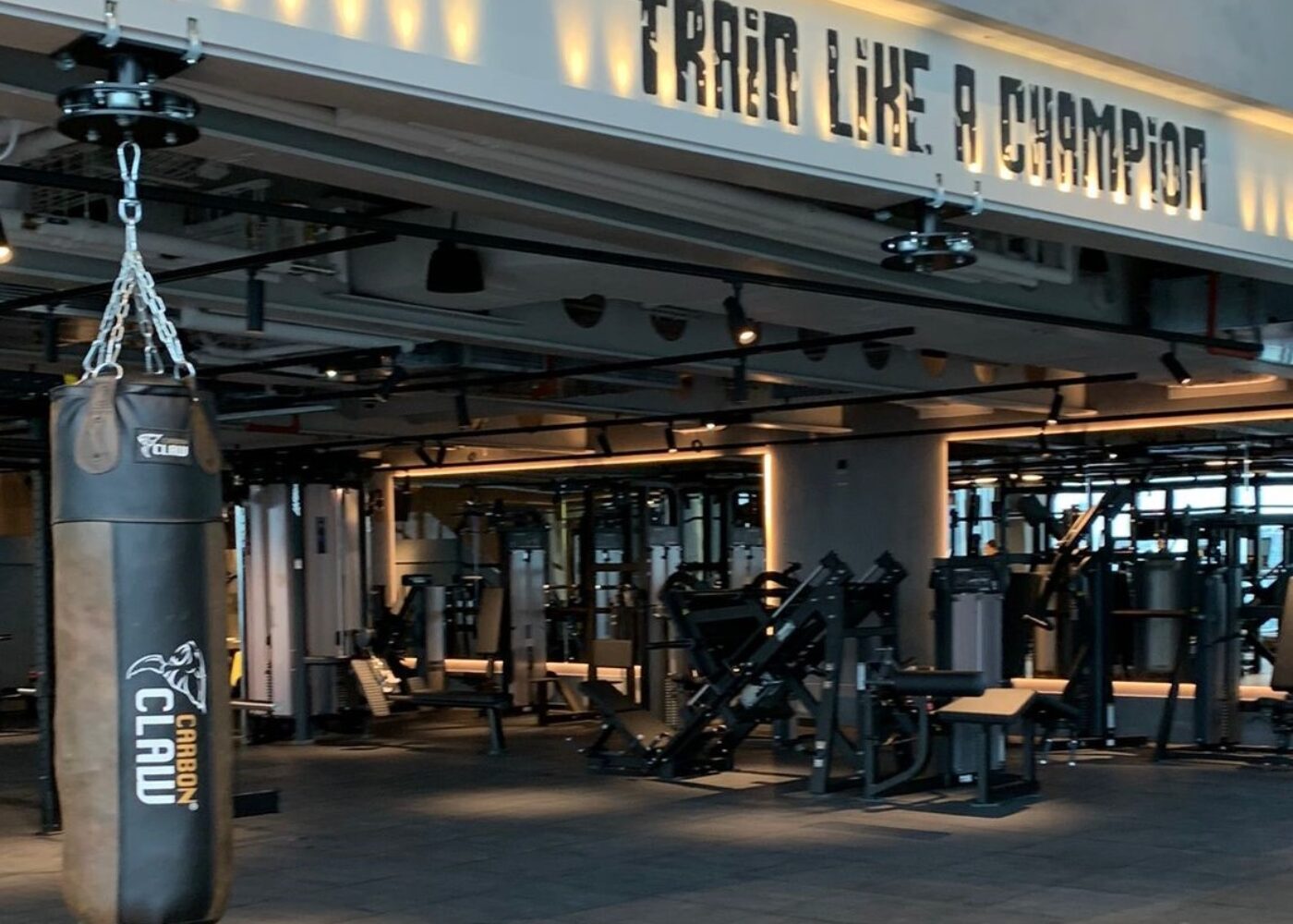 Train like a champion crop